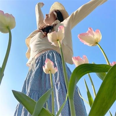 飞狗巴迪